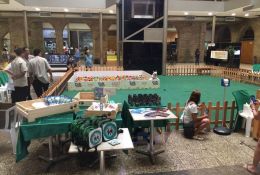 6-encontro-bulldogfrances-09