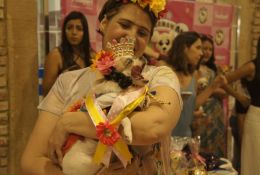 SONY DSC
