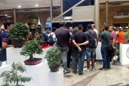 33-expobonsai-2017-01