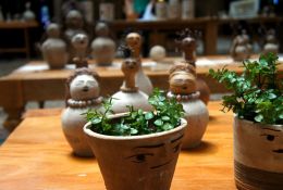 38-poesia-da-terra-07