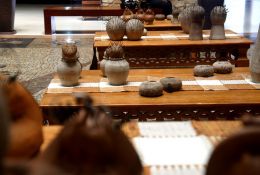 38-poesia-da-terra-09