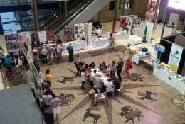 06/06/2016 - Confira os melhores momentos da Festa das Nações