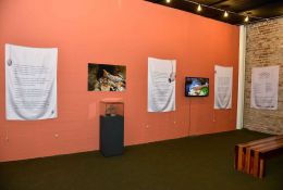 72-expo-mestre-nado-02