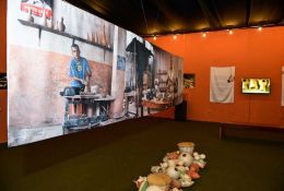 72-expo-mestre-nado-07