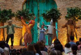 91-palhacoalfadega2012-06